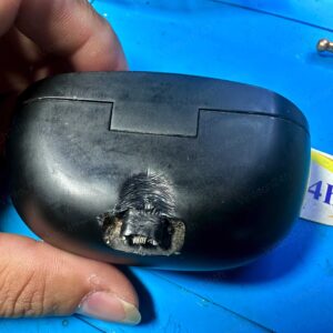 Cách sử dụng tai nghe true wireless đúng cách, bền hơn